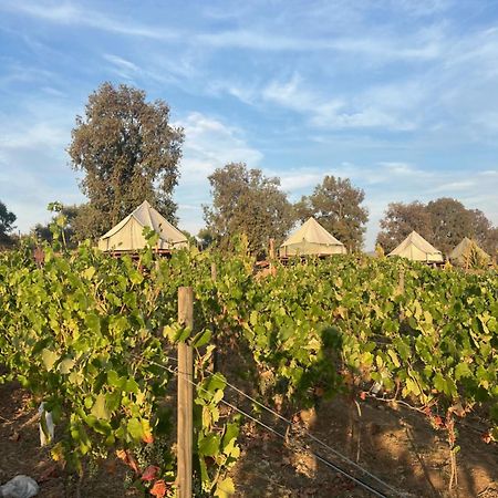 Lago Valle Wine Glamping バジェ・デ・グアダルーペ エクステリア 写真