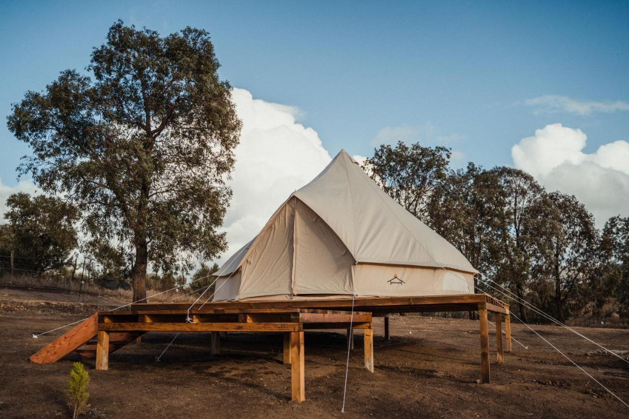 Lago Valle Wine Glamping バジェ・デ・グアダルーペ エクステリア 写真