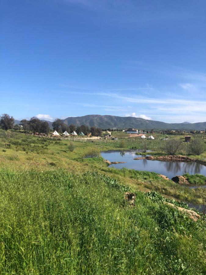 Lago Valle Wine Glamping バジェ・デ・グアダルーペ エクステリア 写真
